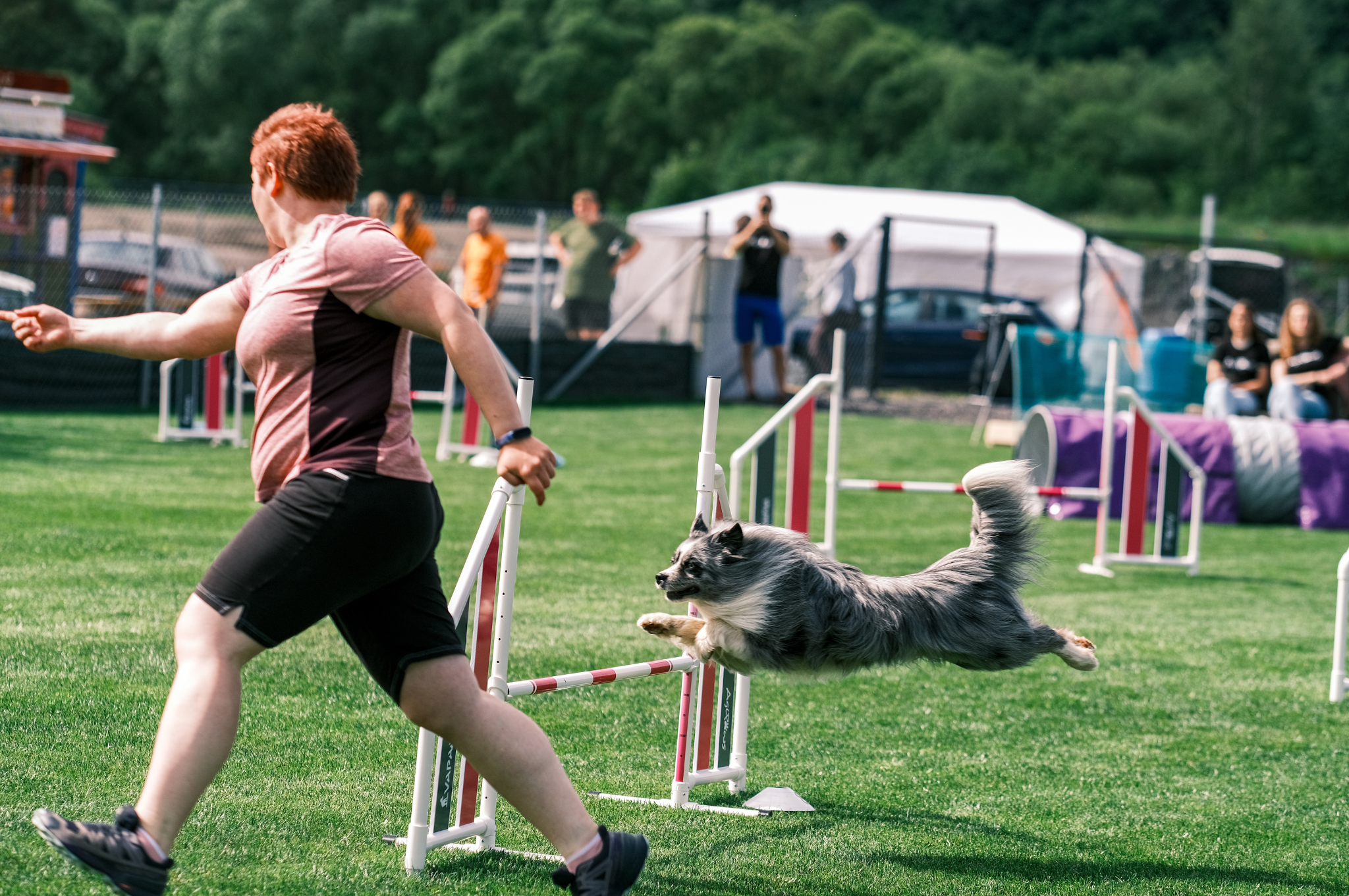 sústredenie a výkon na agility pretekoch